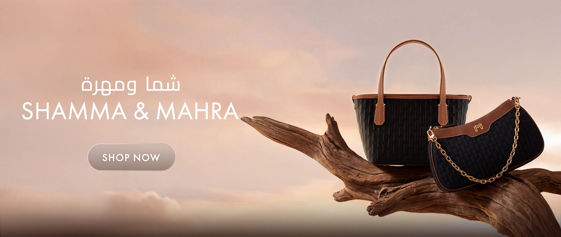 Handbags_HP_Desktop_8a16782a-a14f-4cb8-98bd-caf96c07b305