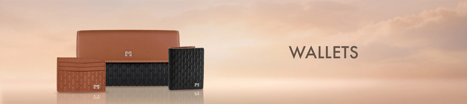collection_banner_desktop_WALLETS_b09573f0-cc04-4d5c-a986-7100682e0688