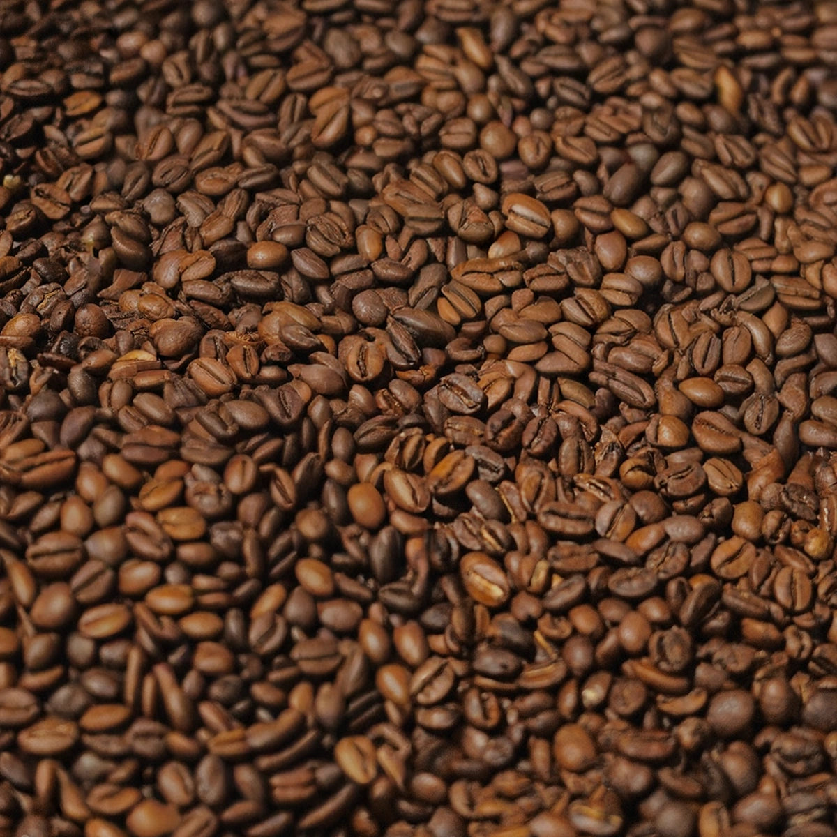 Ethiopia Sidama Coffee