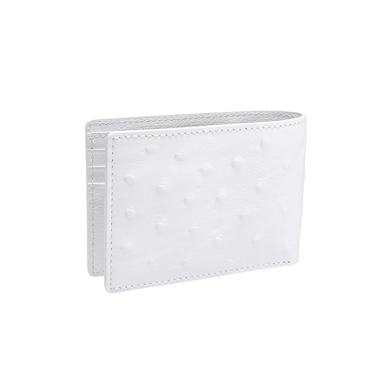 Camel Leather / Ostrich Print