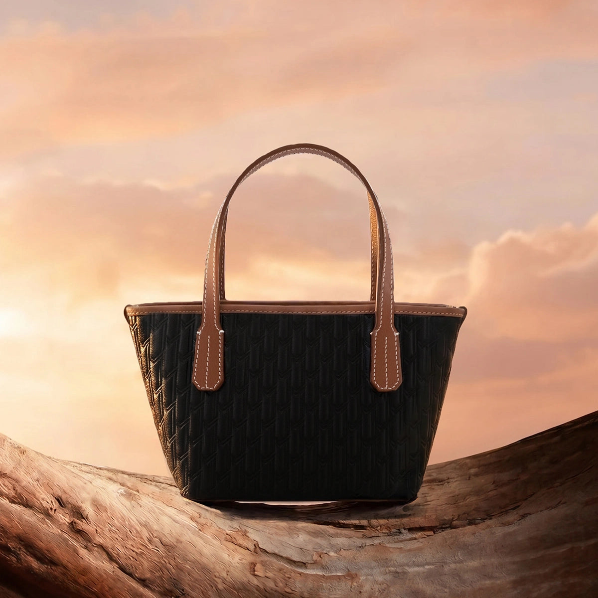 Shamma Handbag / Black & Tan