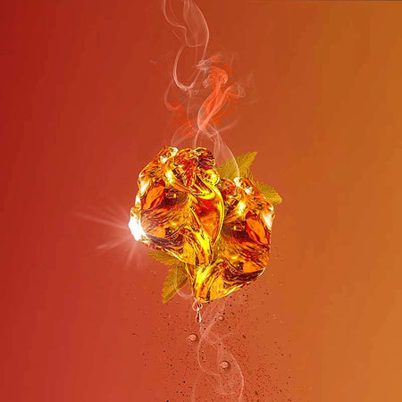 Saffron Musk / Amber Leather Parfum - Gift Box